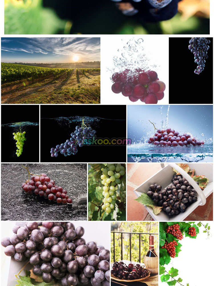 葡萄水果食品高清JPG摄影特写照片4K壁纸背景图片插图设计素材插图14