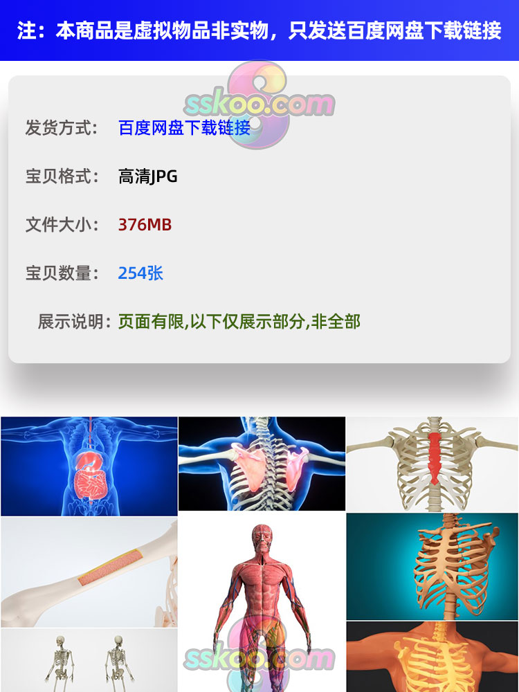 高清人体骨骼肌肉组织器官经脉分布模型场景JPG背景图片设计素材插图1