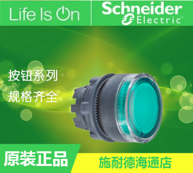 Original dress Schneider XB5 series with light button head green ZB5AW333C