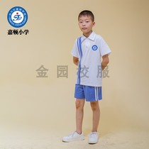 Shantou Jinping District Jiadun Primary School school uniform Mens summer autumn and winter clothes padded college style series Jinyuan school uniform customization