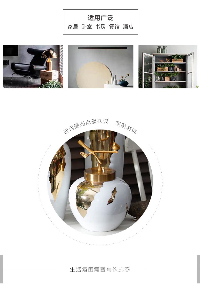 Nordic white ceramic vase furnishing articles I and contracted sitting room Chinese flower arranging dried flower flower implement household soft adornment