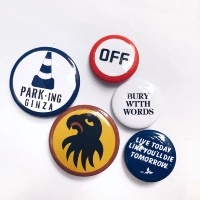 Парковка Ginza Limited Fujiwara Brooch, Nishiyama, Nishiya Eagle Head Head Memory Boys Set Set Значок
