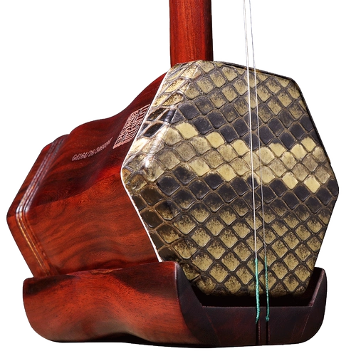 Магазин возвращается к Qianzheng Yintang Erhu музыкальный инструмент Профессиональное выступление Suzhou Erhu Factory