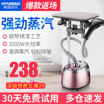 Korea Hyundai Hangdai Household Small Steam Iron Handheld Double Rod Ironing Machine