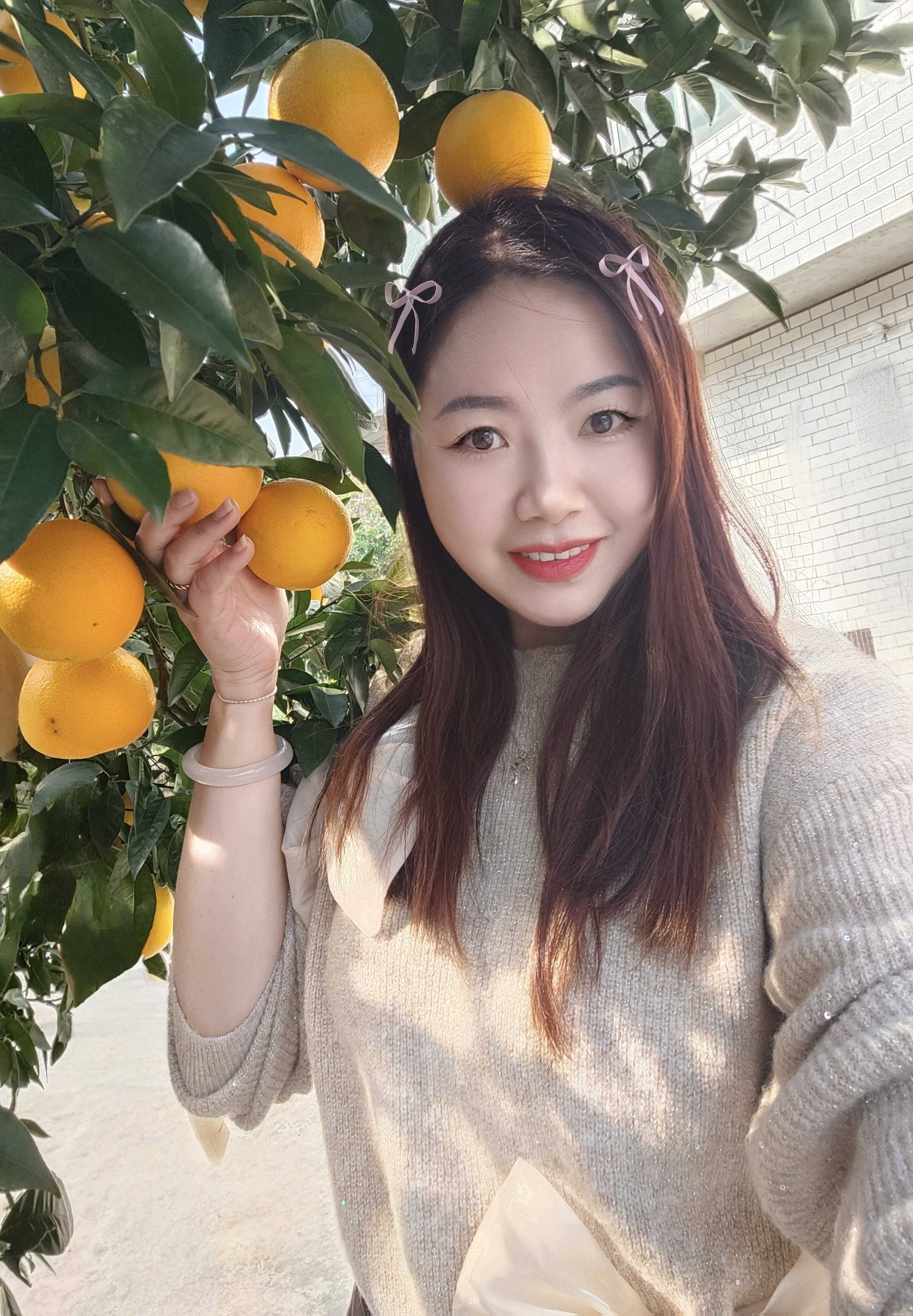 重庆奉节李氏脐橙