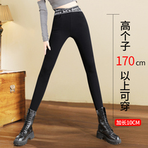 2022 spring autumn new high waist outwear with underpants female lengthened version letters cross waist and slim fit pencil black pants