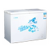 mua tủ đông giá rẻ Tủ đông lạnh ngang SNOWSEA / 海 BD / BC-218JA - Tủ đông tủ lạnh đông Tủ đông