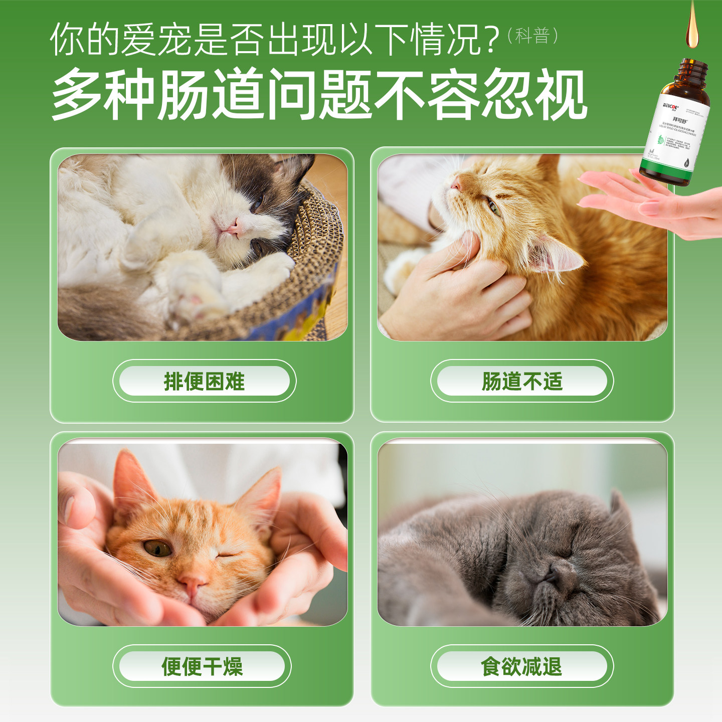 拜卡低聚木糖益生元猫狗通便神器实测!比乳果糖强在哪?-代运营-淘宝好物网
