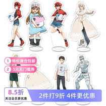 Working Cell Animation Peripheral Sign Desktop Ornaments Red Blood Cells White Blood Cells Platelets Acrylic Ornaments