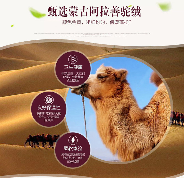 Blouson hiver pour homme   OTHER - Ref 3113484 Image 6