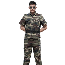Summer short-sleeved cotton camouflage suit mens instructor tactical uniform outdoor team building extended work uniform military training uniform