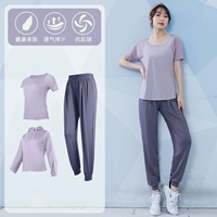灰 Purple+Titanium Grey Three -Piece Set TC37513