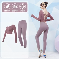 [Длинное рукав] кирпичный красный+светло -фиолетовый два -купюр TC12306