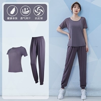 Серо -пурпурный двухлетний набор TC37506