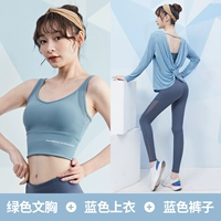 [Длинной рукав] зеленый+синий три -купюр TC12264