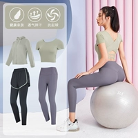 Bud Green+серо -пурпурный четырехфункциональный TC38054