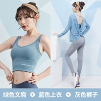 [Длинное рукав] зеленый+синий+серый три -набор штук TC12265