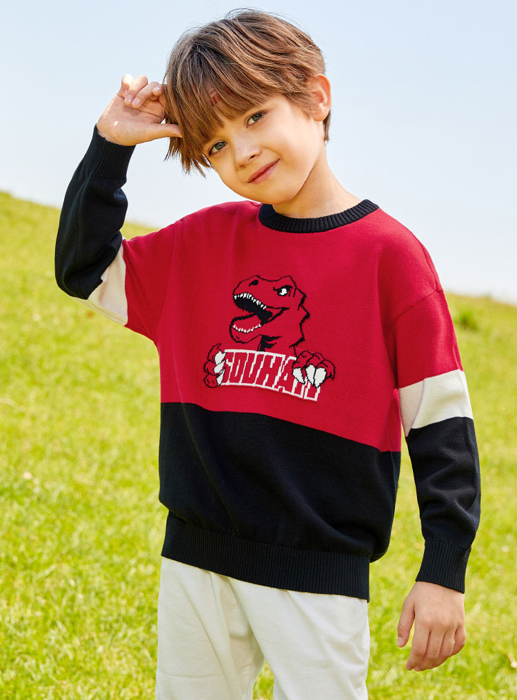 水孩儿 2021秋季新款 全棉 男童套头毛衣 天猫优惠券折后￥79包邮（￥159-80） 105~170码3色可选