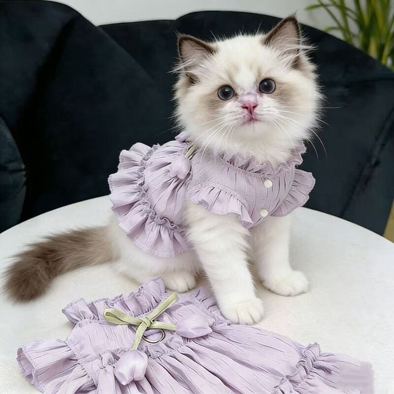 Princess-Style Cat Dress, Summer Thin Clothing for Ragdoll Cats, Devon Rex Cats, and Golden Shaded Cats, Breathable and Anti-Shedding