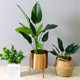 Simulated plant flower pot decoration cement pot green plant kraft paper bag metal flower pot plastic flower pot