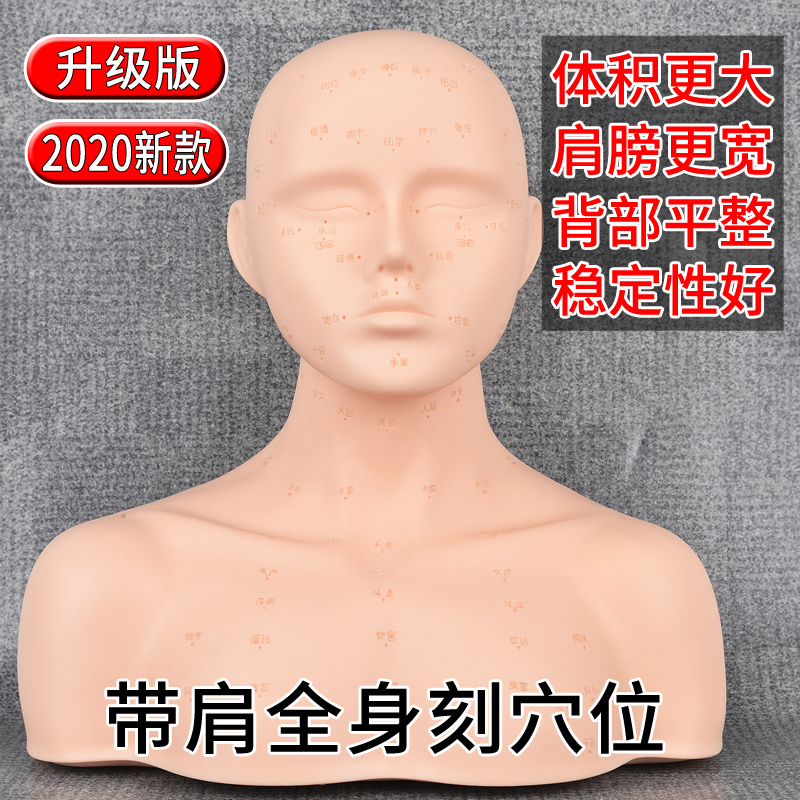 Beauty salon to learn facial acupressure with shoulder dummy bald model practice techniques Skin management head model special