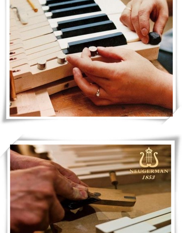 Có một video! Chuyên nghiệp cao cấp Đức Norman Deman hướng dẫn sử dụng đàn piano cho người mới bắt đầu kiểm tra gỗ rắn E1 casio px 770