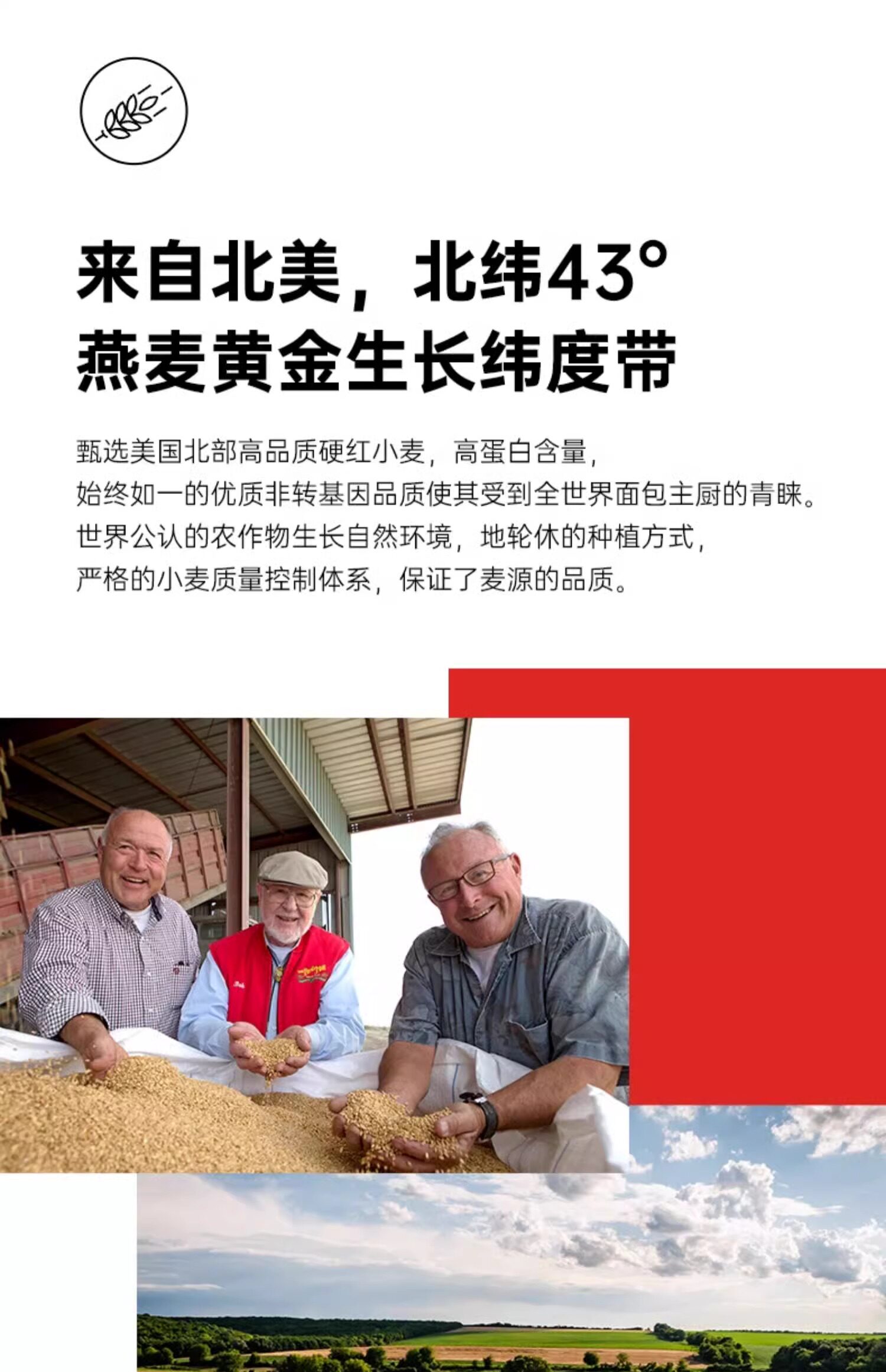 安享好物 安享B级小麦面粉-鲍勃红磨坊全麦面粉