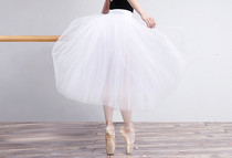 Tutu Adult female dance yarn skirt Long swan dance performance suit Half-body tutu teacher dance skirt