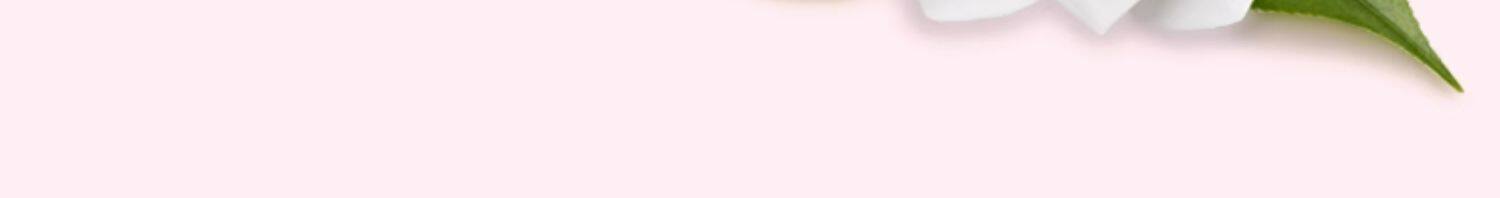 【日本直邮】日本本土版CPB肌肤之钥 樱花粉管 莹采丰润保湿唇膏 N3蜂蜜奶橘 2.8g