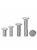 Flat head half hollow iron rivet M3-M2 5M6 flat head iron rivet GB875 iron flat head half hollow rivet