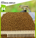 Птичья птицы, которые удерживают боевые птицы, модернизированная формация, основанная в гонконге, топ -100 новых золотых гражданских глазных корм