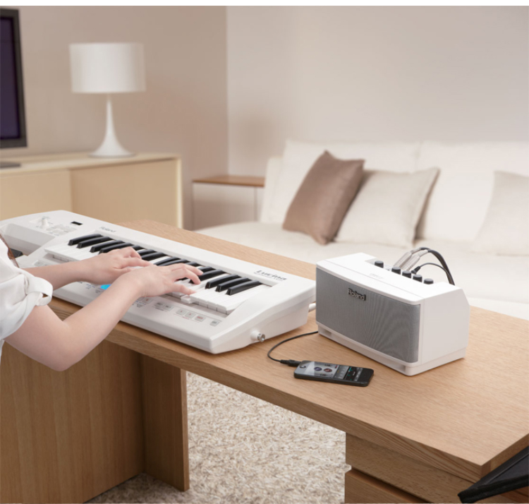 Roland Roland CUBE-LITE Bàn Phím Đàn Guitar Điện Stereo Màn Hình Loa Battery Powered Instrument Phổ loa technics