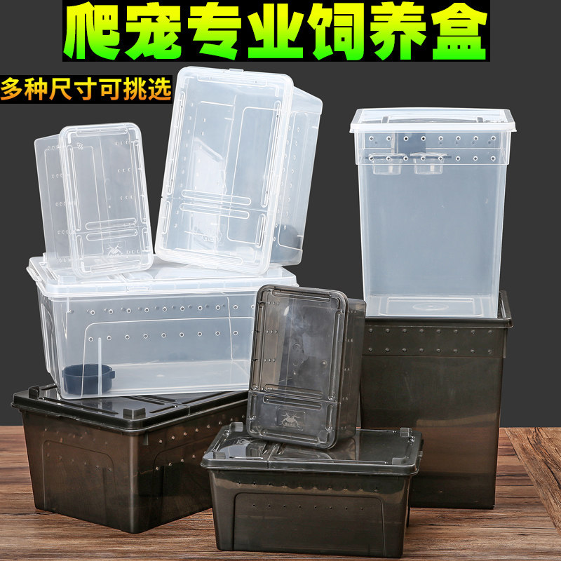 Reptile Reptile Rearing Box Pet Snake Turtle Spider Vigil Lizard Scorpion Centipede Snail Insect Horn Frog Rearing Box