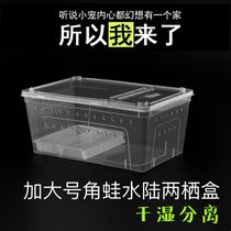 Horned frog special breeding box amphibious breeding box small turtle salamander frog belt drying table landscaping climbing pet breeding box