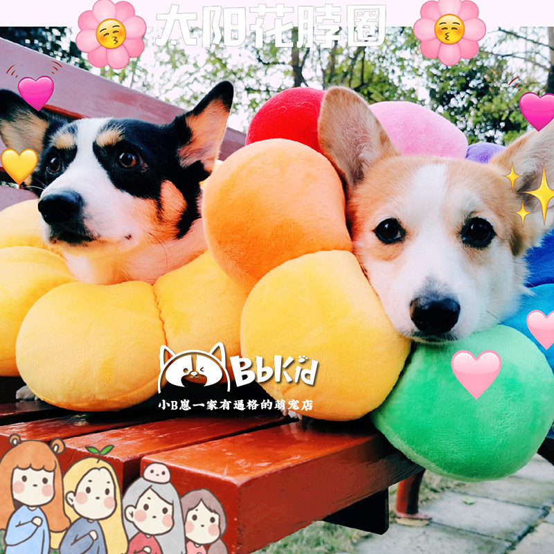 Small B cub pet cat dog adjustable sun flower thick real Elizabeth lap cute neuter dog anti-lick neck ring-Taobao