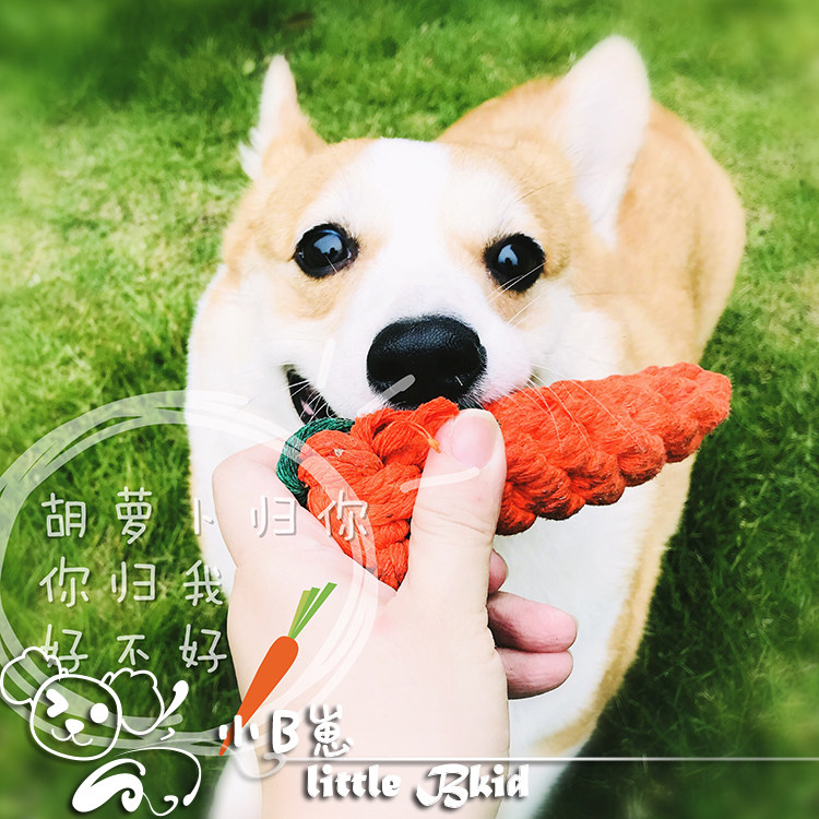 Tself left running quantity Kirky Bears Toys a carrot pet cotton rope Creative Pets Grinding Dog Toy-Taobao