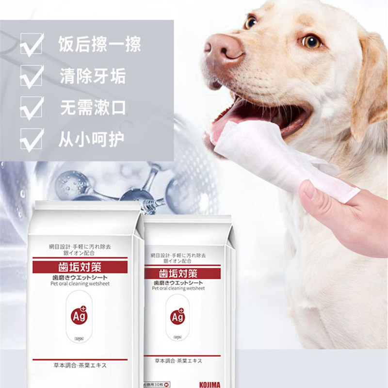 Kojima Tooth Tooth Tooth Tooth Clean Tooth Clean Tooth Tooth Clean Tooth 30 pieces to Tooth Scale