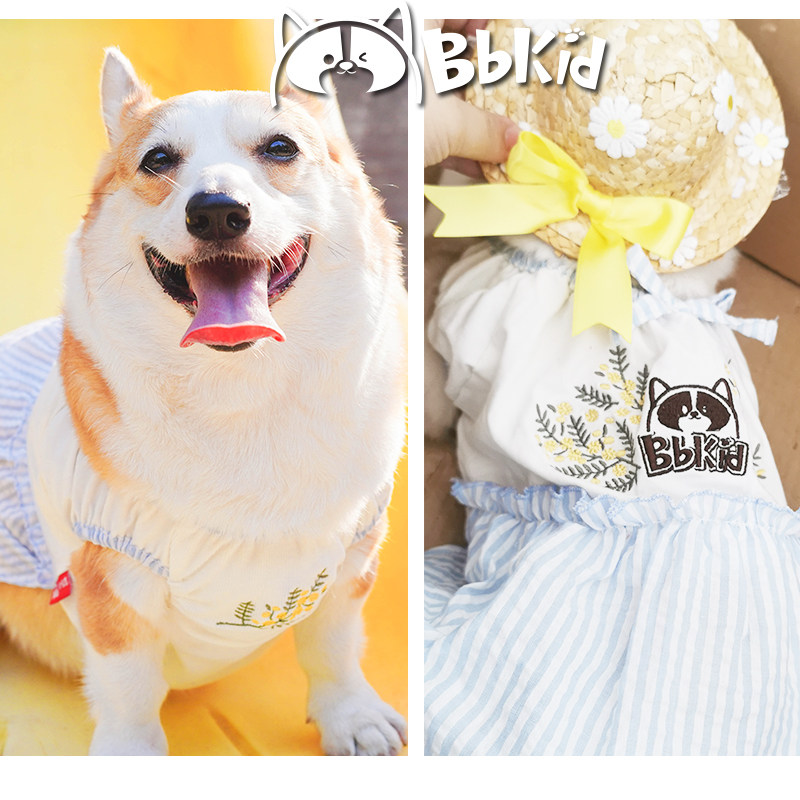 Small B cub homemade cute little fresh and delicate embroidered dress pure cotton elastic comfort and fat dog kitty Koki little skirt-Taobao