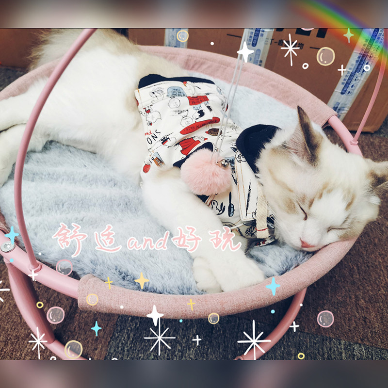 Little B Cub Red Boss Chair 4 seasons General Cat Pet Cottage can be removed and breathable and fun cat bed