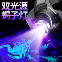 Scorpion lamp special purple outdoor super bright capture scorpion lamp white plus purple bald head wearing strong light flashlight headlight