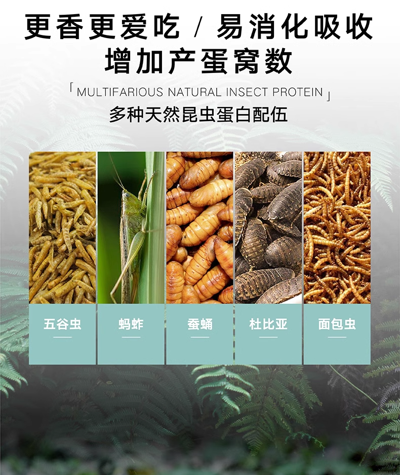 Подробная информация о Lifeline Half-Water Turtle Food_08.png