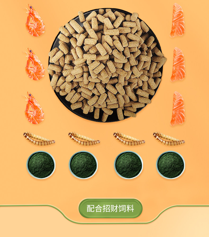 Подробная информация о Lucky Compofed_04.jpg