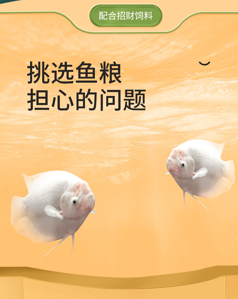 Подробная информация о Lucky Compofed_06.jpg