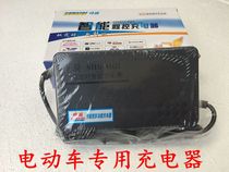 Handsome ride electric car 48V20A-60A charger lead-acid battery free of maintenance battery pack charger