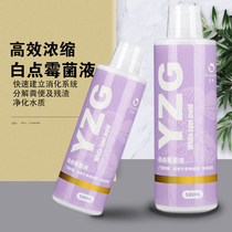 Aquarium biological rehabilitation agent Fish tank ornamental fish Fish medicine goldfish medicine Koi fish enteritis White spot potion family medicine