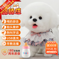 Commett licks Wangs toy pooch walking will be called drinking milky childrens electric e-dog pets emulating puppies