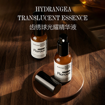 Laners Home Flarous Frass Perfectly Crowned Tooth Hydrangea Radiance Essence 30ml