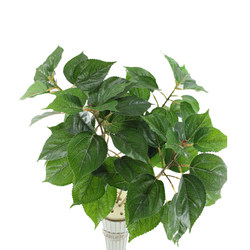 Artificial Hemp Leaves, Green Plants, Jujube Leaves, Landscaping, Mulberry Leaves, Floor-Standing Flower Arrangements, Fake Hemp Leaves, Fake Mulberry Leaves