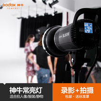 Shenniu SL60W photography light sun light LED soft light portrait video shooting light anchor small fill light