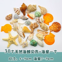 30 комбинация раковины раковины+образец одной звезды звезды